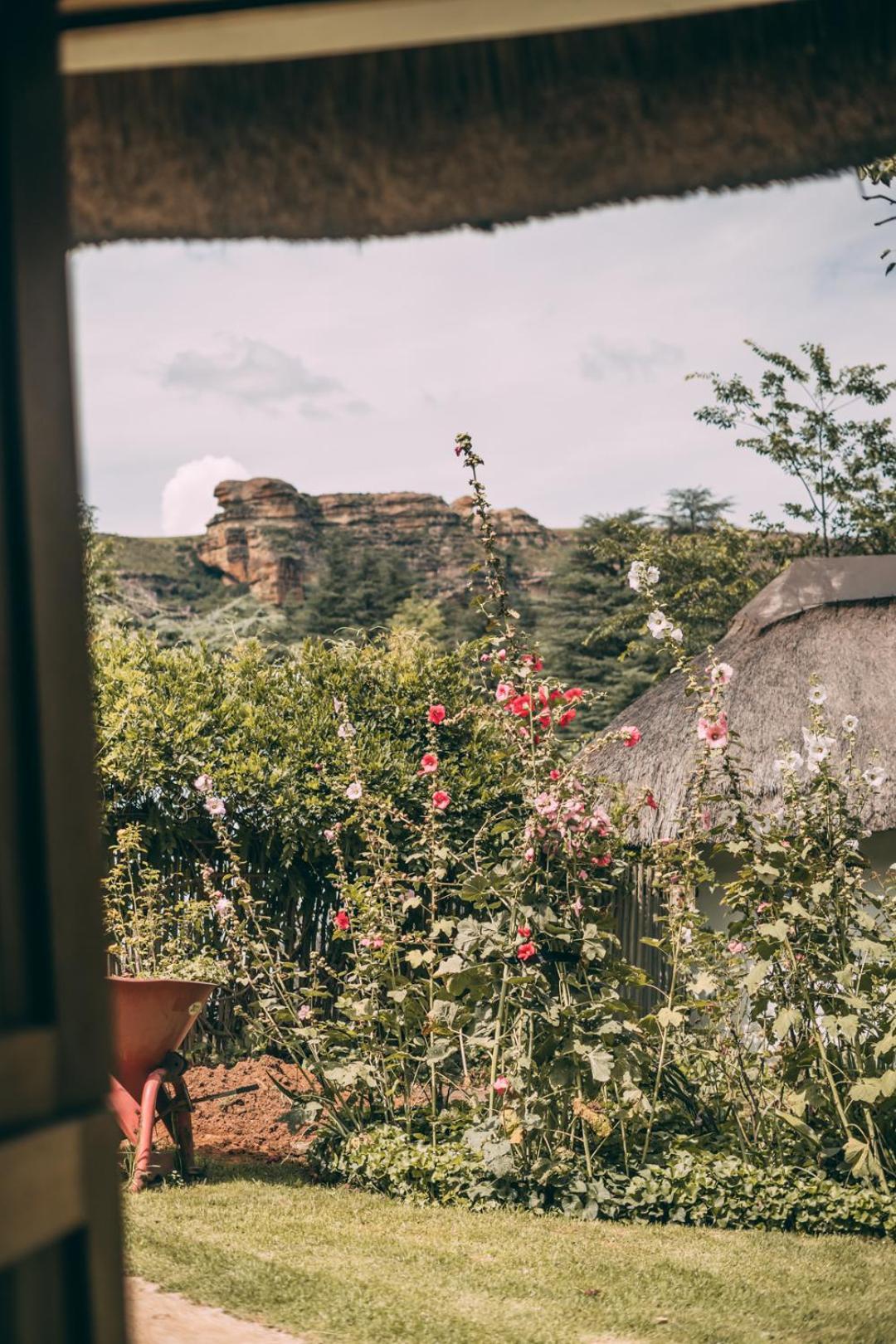 Wyndford Holiday Farm Фурисбург Экстерьер фото